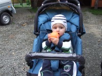 /album/fotogalerie-bohusov-dodatek/a138-jpg1/