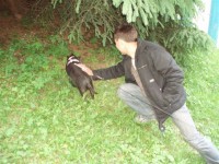 /album/kmk-a-keltska-noc/p6190244-jpg/