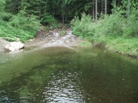 /album/kmk-a-keltska-noc/p6200259-jpg/