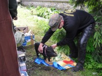 /album/kmk-a-keltska-noc/cimg0155-jpg/