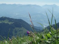 /album/kmk-v-italii-2010/p7090358-jpg/